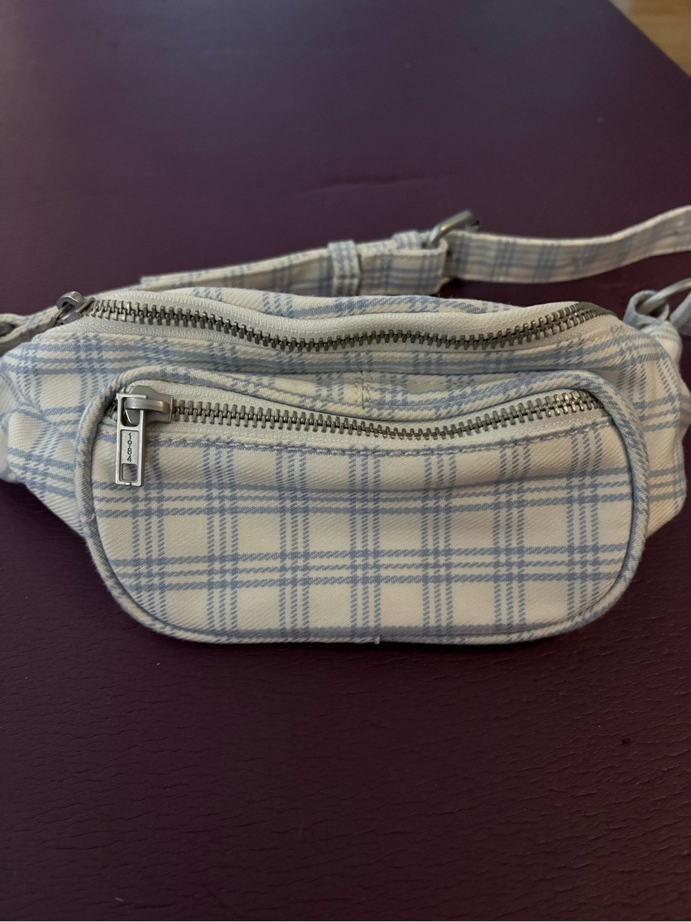 Betsey Johnson NWT Blue White
Plaid Belt Bag Fanny Pack (from Brandy Melville)